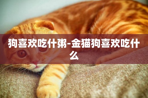 狗喜歡吃什粥-金貓狗喜歡吃什么
