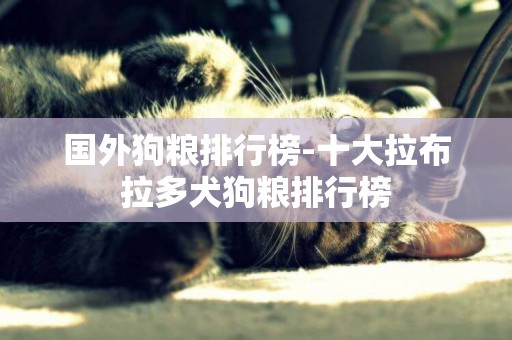 國外狗糧排行榜-十大拉布拉多犬狗糧排行榜