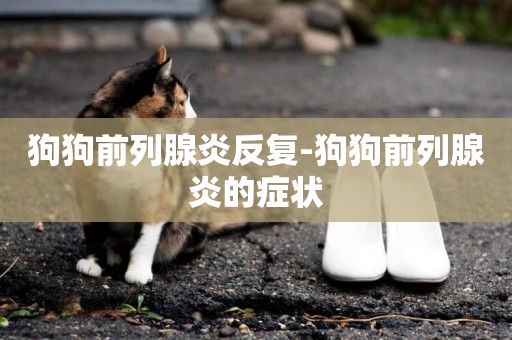 狗狗前列腺炎反復-狗狗前列腺炎的癥狀