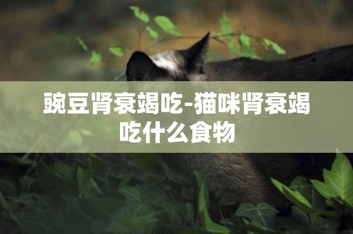豌豆腎衰竭吃-貓咪腎衰竭吃什么食物