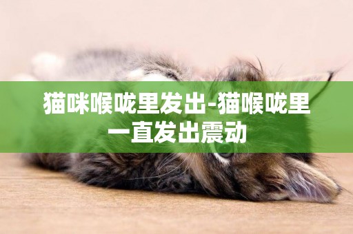貓咪喉嚨里發出-貓喉嚨里一直發出震動