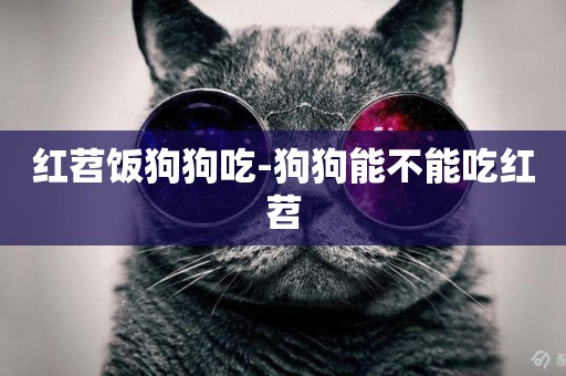 紅苕飯狗狗吃-狗狗能不能吃紅苕