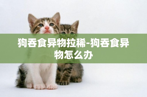 狗吞食異物拉稀-狗吞食異物怎么辦