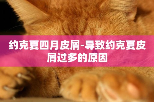 約克夏四月皮屑-導致約克夏皮屑過多的原因