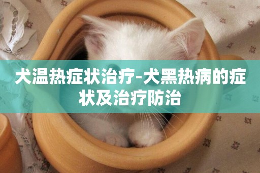犬溫熱癥狀治療-犬黑熱病的癥狀及治療防治