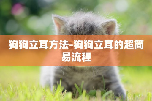 狗狗立耳方法-狗狗立耳的超簡易流程