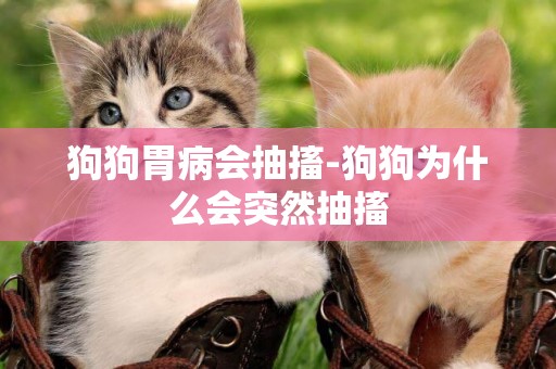 狗狗胃病會抽搐-狗狗為什么會突然抽搐