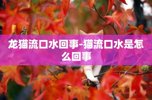 龍貓流口水回事-貓流口水是怎么回事