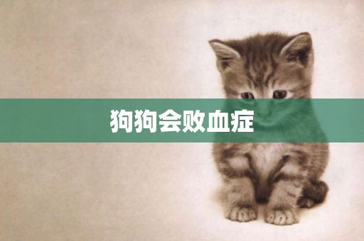 狗狗會敗血癥