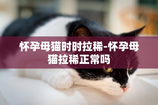 懷孕母貓時時拉稀-懷孕母貓拉稀正常嗎