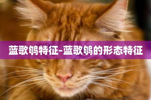 藍歌鴝特征-藍歌鴝的形態特征