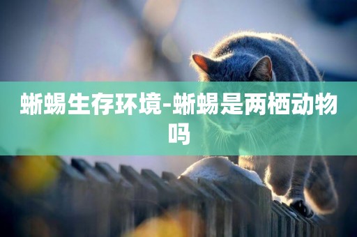 蜥蜴生存環境-蜥蜴是兩棲動物嗎