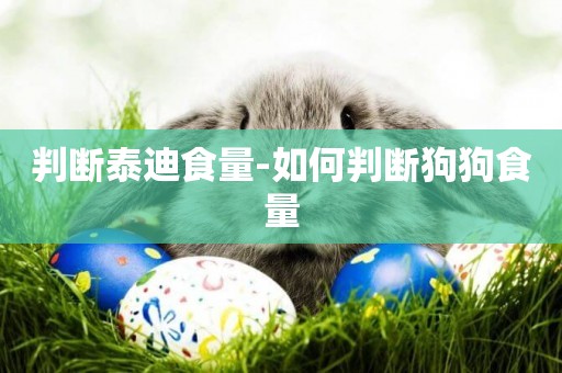 判斷泰迪食量-如何判斷狗狗食量