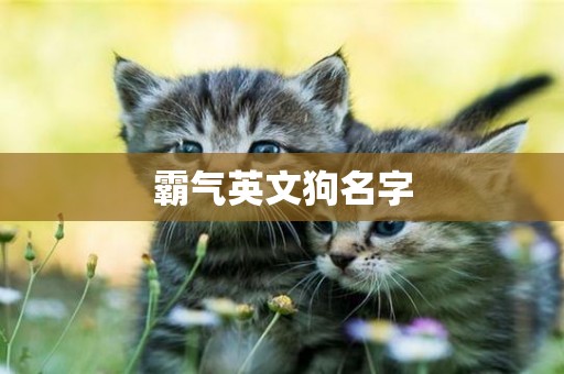 霸氣英文狗名字