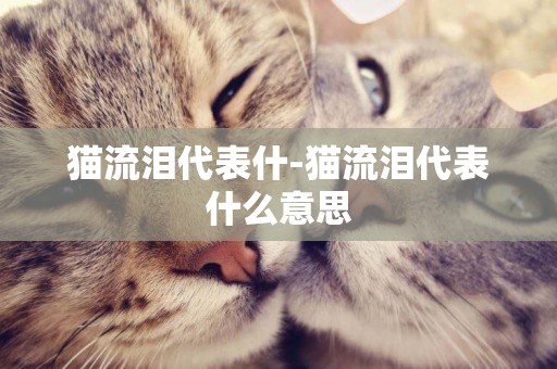 貓流淚代表什-貓流淚代表什么意思
