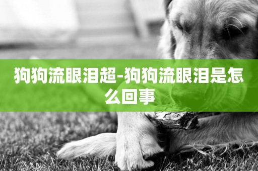 狗狗流眼淚超-狗狗流眼淚是怎么回事