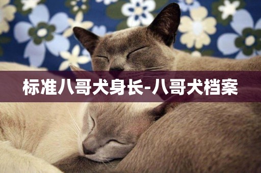 標準八哥犬身長-八哥犬檔案