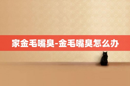 家金毛嘴臭-金毛嘴臭怎么辦