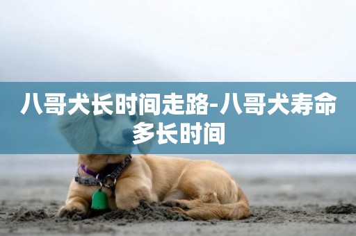 八哥犬長時間走路-八哥犬壽命多長時間
