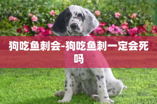狗吃魚刺會-狗吃魚刺一定會死嗎
