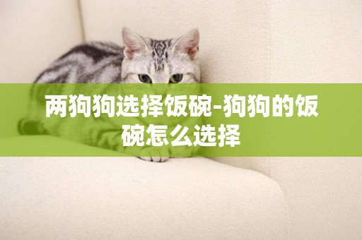 兩狗狗選擇飯碗-狗狗的飯碗怎么選擇