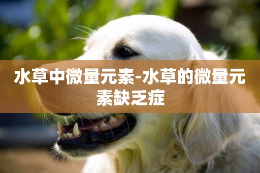 水草中微量元素-水草的微量元素缺乏癥