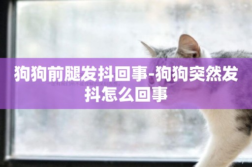 狗狗前腿發抖回事-狗狗突然發抖怎么回事