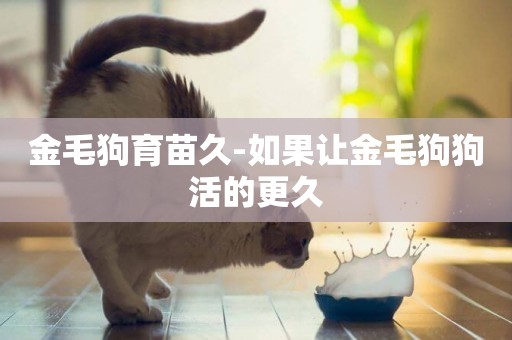 金毛狗育苗久-如果讓金毛狗狗活的更久