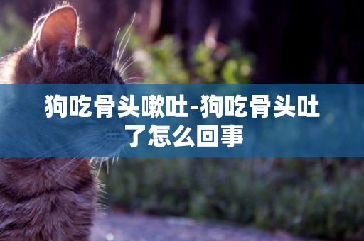 狗吃骨頭嗽吐-狗吃骨頭吐了怎么回事