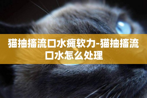 貓抽搐流口水癱軟力-貓抽搐流口水怎么處理