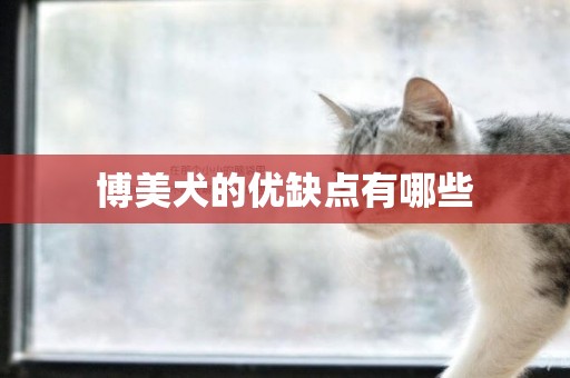 博美犬的優缺點有哪些