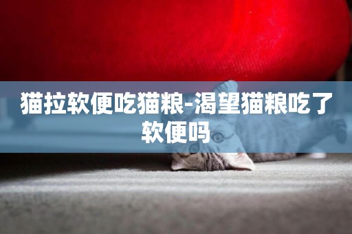貓拉軟便吃貓糧-渴望貓糧吃了軟便嗎