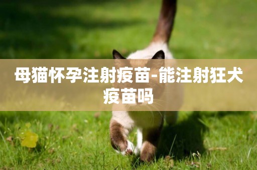母貓懷孕注射疫苗-能注射狂犬疫苗嗎