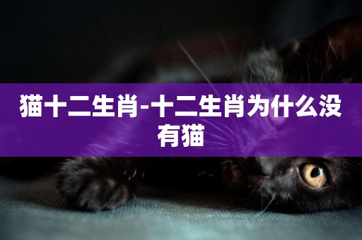 貓十二生肖-十二生肖為什么沒有貓
