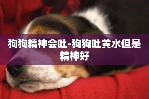 狗狗精神會吐-狗狗吐黃水但是精神好