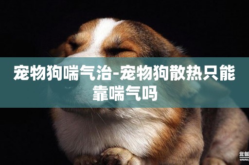 寵物狗喘氣治-寵物狗散熱只能靠喘氣嗎