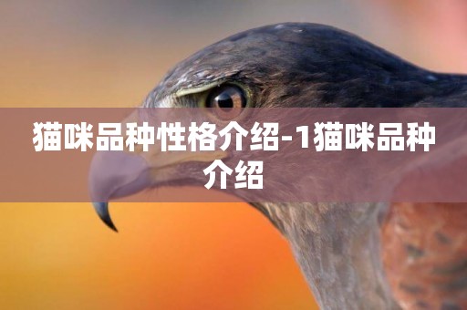 貓咪品種性格介紹-1貓咪品種介紹