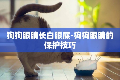 狗狗眼睛長白眼屎-狗狗眼睛的保護技巧