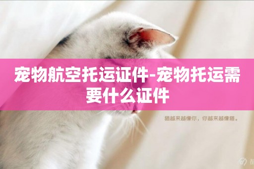 寵物航空托運證件-寵物托運需要什么證件