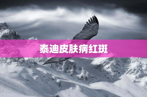 泰迪皮膚病紅斑