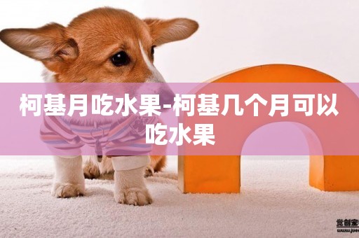 柯基月吃水果-柯基幾個月可以吃水果