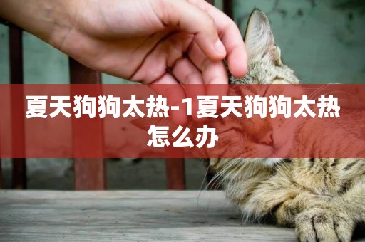 夏天狗狗太熱-1夏天狗狗太熱怎么辦