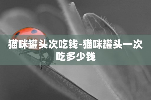 貓咪罐頭次吃錢-貓咪罐頭一次吃多少錢
