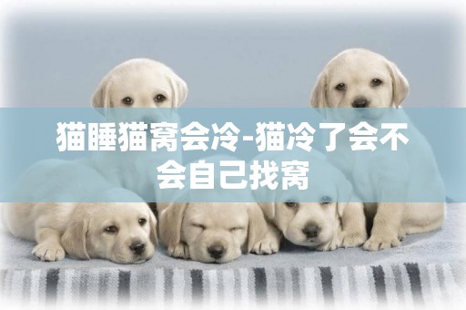 貓睡貓窩會冷-貓冷了會不會自己找窩