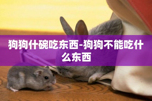 狗狗什碗吃東西-狗狗不能吃什么東西