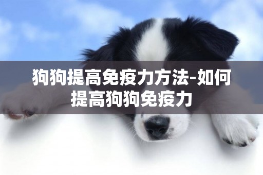 狗狗提高免疫力方法-如何提高狗狗免疫力