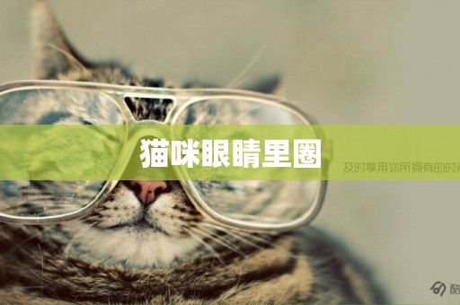 貓咪眼睛里圈