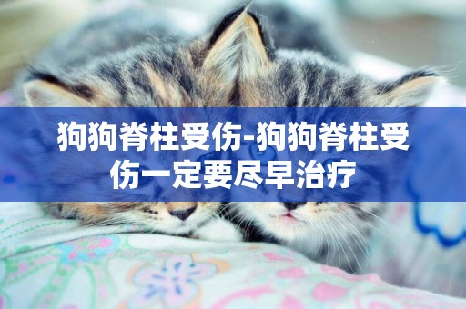 狗狗脊柱受傷-狗狗脊柱受傷一定要盡早治療