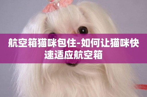 航空箱貓咪包住-如何讓貓咪快速適應航空箱