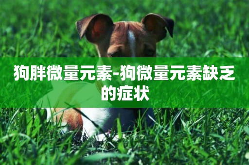 狗胖微量元素-狗微量元素缺乏的癥狀